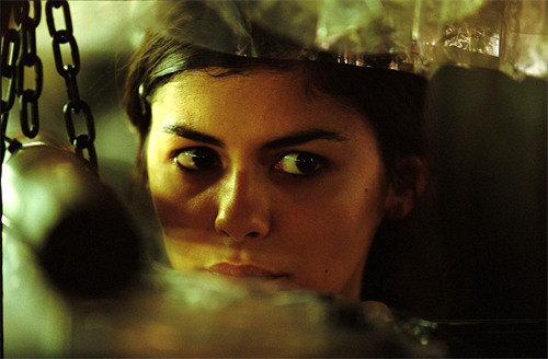 Dirty Pretty Things (3)