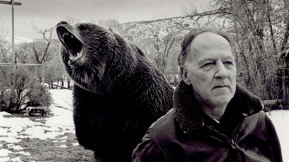 Werner-Herzog