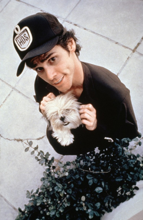 Pet Detective45