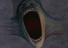 《迷墙 Pink Floyd The Wall》详细剧情