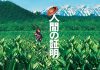 人证