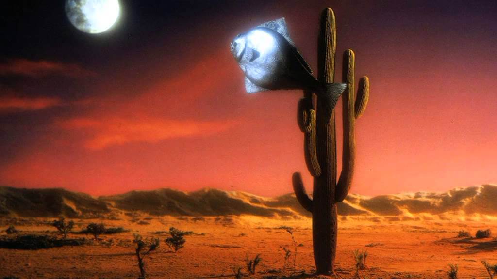 arizona dream wallpaper
