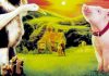 小猪宝贝(1995)– 经典英文台词、英语剧本原文翻译、中英文字幕对照