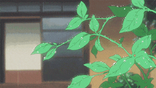 rain